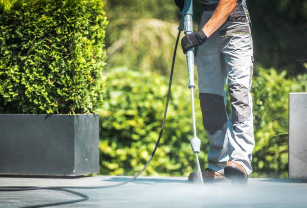 Best Pre-Holiday Cleaning  in Lopezville, TX