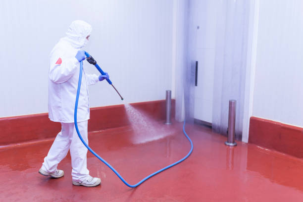 Best Boat and Dock Cleaning  in Lopezville, TX